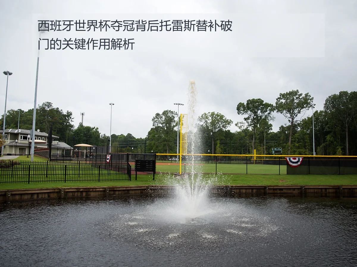 西班牙世界杯夺冠背后托雷斯替补破门的关键作用解析